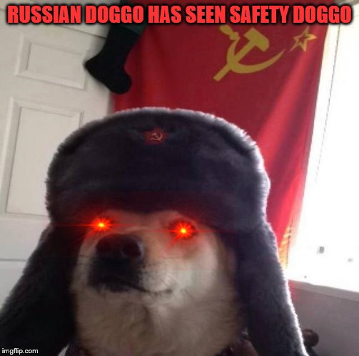 Russian Doge | RUSSIAN DOGGO HAS SEEN SAFETY DOGGO | image tagged in russian doge | made w/ Imgflip meme maker