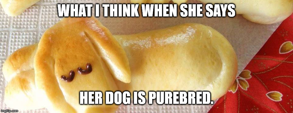 Pure - Bread | WHAT I THINK WHEN SHE SAYS; HER DOG IS PUREBRED. | image tagged in doggy | made w/ Imgflip meme maker