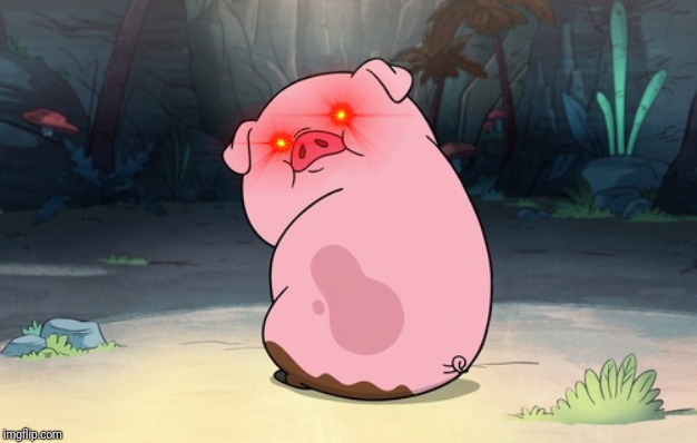 Gravity Falls pig | image tagged in gravity falls pig | made w/ Imgflip meme maker