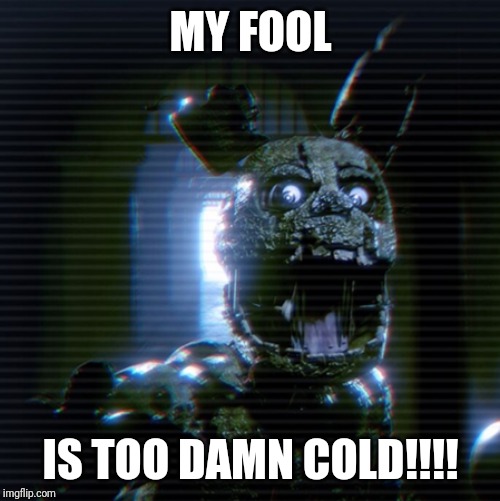 MY FOOL IS TOO DAMN COLD!!!! | made w/ Imgflip meme maker