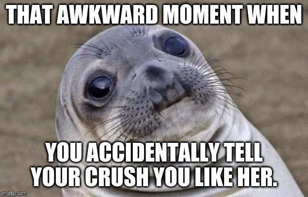 Awkward Moment Sealion Meme | THAT AWKWARD MOMENT WHEN; YOU ACCIDENTALLY TELL YOUR CRUSH YOU LIKE HER. | image tagged in memes,awkward moment sealion | made w/ Imgflip meme maker