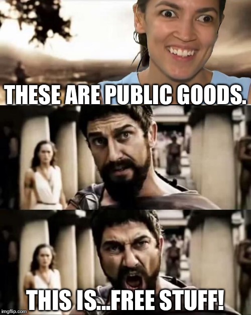 This is...free stuff! | THESE ARE PUBLIC GOODS. THIS IS...FREE STUFF! | image tagged in this is sparta meme,memes,alexandria ocasio-cortez,sparta leonidas,politicians,free stuff | made w/ Imgflip meme maker