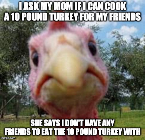 turkey | I ASK MY MOM IF I CAN COOK A 10 POUND TURKEY FOR MY FRIENDS; SHE SAYS I DON'T HAVE ANY FRIENDS TO EAT THE 10 POUND TURKEY WITH | image tagged in turkey | made w/ Imgflip meme maker