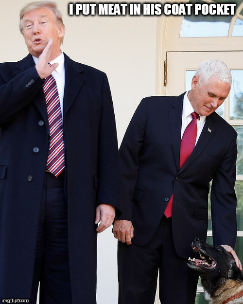 Trump Pence | I PUT MEAT IN HIS COAT POCKET | image tagged in trump pence | made w/ Imgflip meme maker