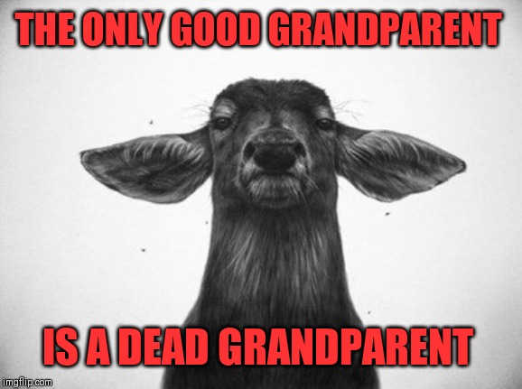 THE ONLY GOOD GRANDPARENT IS A DEAD GRANDPARENT | made w/ Imgflip meme maker