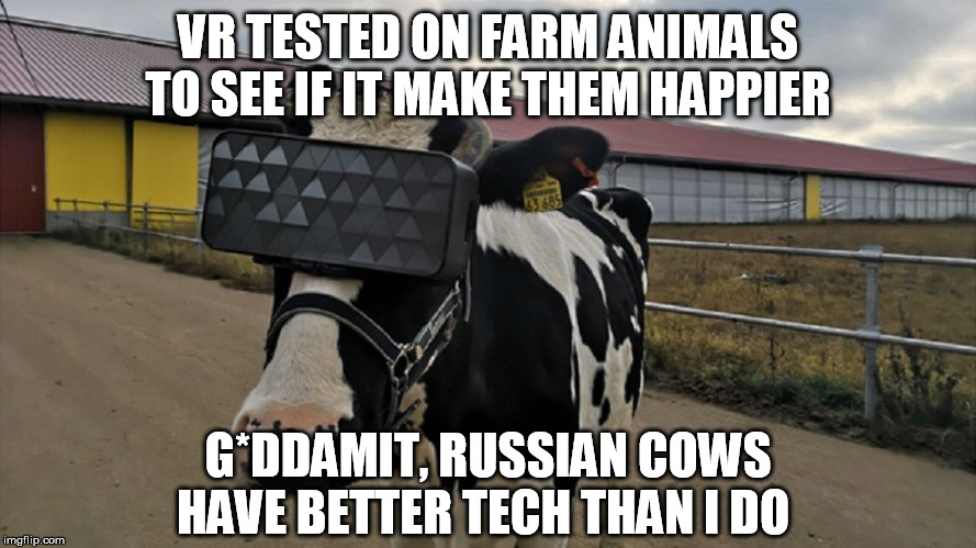 Sometimes life's not fair ;-) | VR TESTED ON FARM ANIMALS TO SEE IF IT MAKE THEM HAPPIER; G*DDAMIT, RUSSIAN COWS HAVE BETTER TECH THAN I DO | image tagged in virtual reality,vr,russia,cows | made w/ Imgflip meme maker