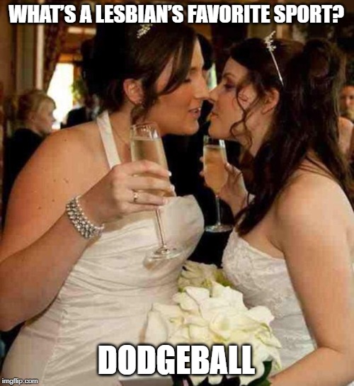 The Sport of Dykes | WHAT’S A LESBIAN’S FAVORITE SPORT? DODGEBALL | image tagged in lesbian wedding | made w/ Imgflip meme maker
