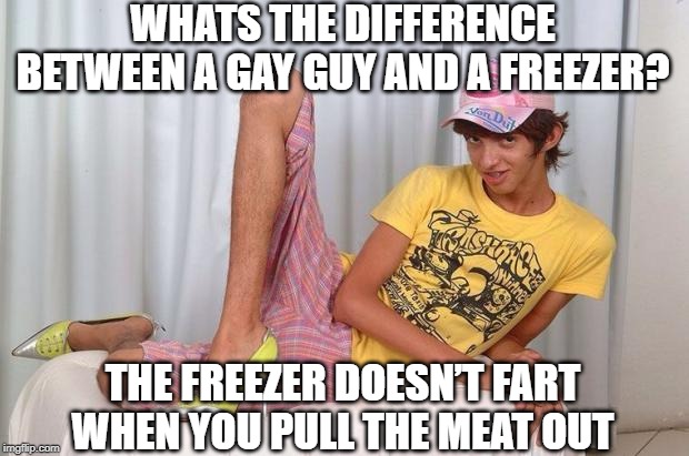 That Sound | WHATS THE DIFFERENCE BETWEEN A GAY GUY AND A FREEZER? THE FREEZER DOESN’T FART WHEN YOU PULL THE MEAT OUT | image tagged in gay | made w/ Imgflip meme maker