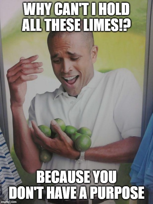 Why Can't I Hold All These Limes | WHY CAN'T I HOLD ALL THESE LIMES!? BECAUSE YOU DON'T HAVE A PURPOSE | image tagged in memes,why can't i hold all these limes | made w/ Imgflip meme maker