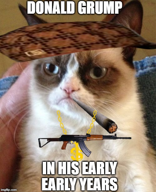 Grumpy Cat | DONALD GRUMP; IN HIS EARLY EARLY YEARS | image tagged in memes,grumpy cat | made w/ Imgflip meme maker