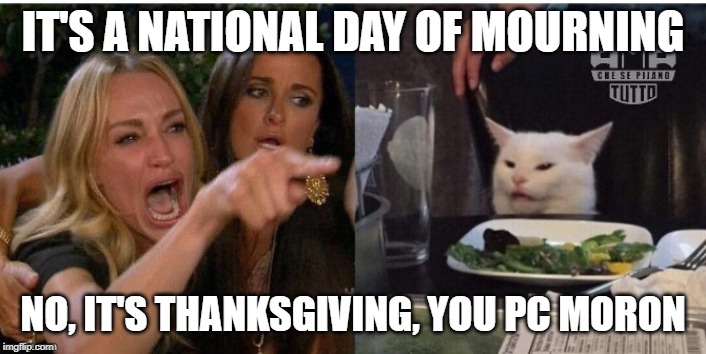 white cat table | IT'S A NATIONAL DAY OF MOURNING; NO, IT'S THANKSGIVING, YOU PC MORON | image tagged in white cat table | made w/ Imgflip meme maker