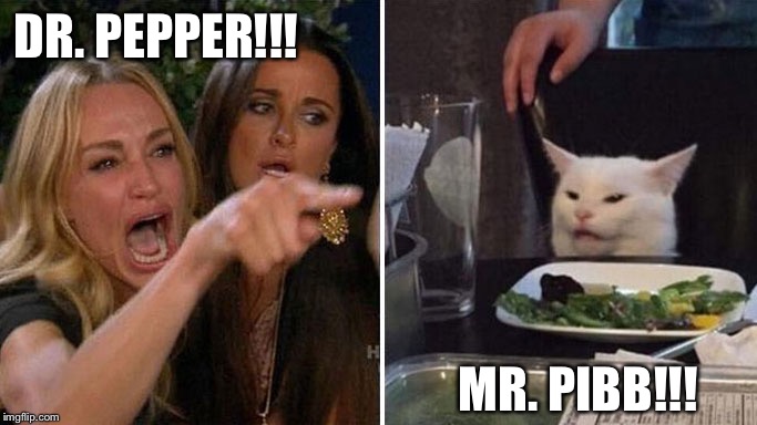 Angry lady cat | DR. PEPPER!!! MR. PIBB!!! | image tagged in angry lady cat | made w/ Imgflip meme maker