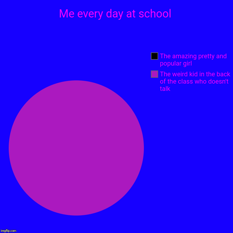 Me every day at school | The weird kid in the back of the class who doesn't talk, The amazing pretty and popular girl | image tagged in charts,pie charts | made w/ Imgflip chart maker