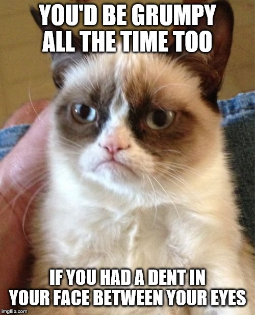 Grumpy Cat | YOU'D BE GRUMPY ALL THE TIME TOO; IF YOU HAD A DENT IN YOUR FACE BETWEEN YOUR EYES | image tagged in memes,grumpy cat | made w/ Imgflip meme maker