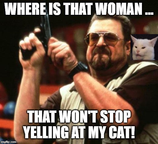 Smudge and I have had enough! | image tagged in gun,smudge the cat,cats | made w/ Imgflip meme maker