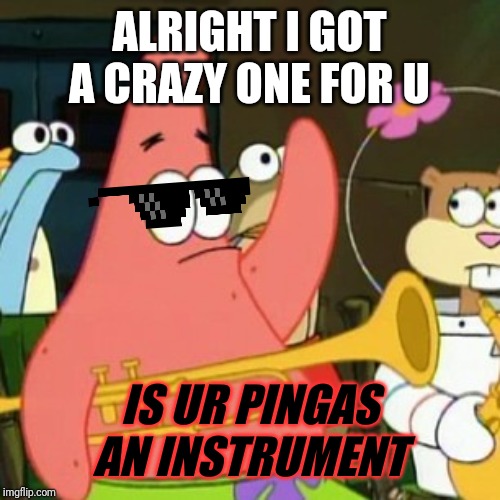 Snoo PINGAS usual I c XD | ALRIGHT I GOT A CRAZY ONE FOR U; IS UR PINGAS AN INSTRUMENT | image tagged in memes,no patrick,funny memes,pingas,pingas memes,savage memes | made w/ Imgflip meme maker