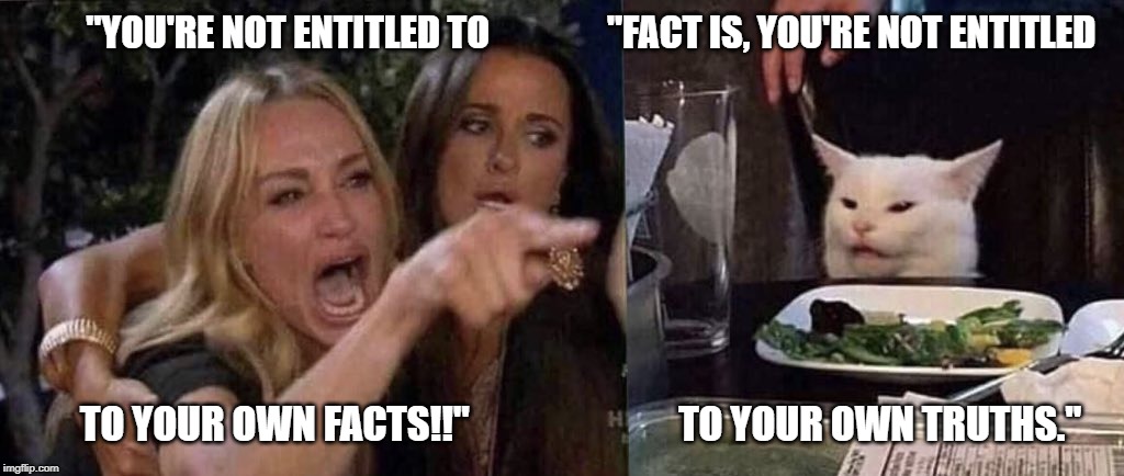 woman yelling at cat | "YOU'RE NOT ENTITLED TO                "FACT IS, YOU'RE NOT ENTITLED; TO YOUR OWN FACTS!!"                           TO YOUR OWN TRUTHS." | image tagged in woman yelling at cat | made w/ Imgflip meme maker