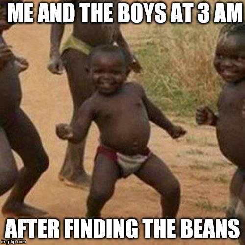 Third World Success Kid Meme | ME AND THE BOYS AT 3 AM; AFTER FINDING THE BEANS | image tagged in memes,third world success kid | made w/ Imgflip meme maker