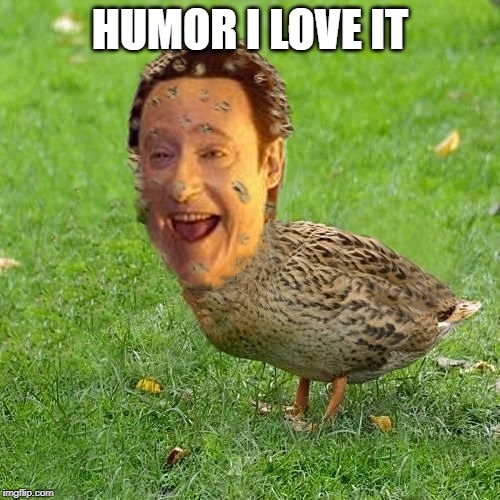 The Data Duck | HUMOR I LOVE IT | image tagged in the data duck | made w/ Imgflip meme maker
