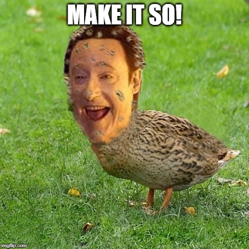 The Data Duck | MAKE IT SO! | image tagged in the data duck | made w/ Imgflip meme maker