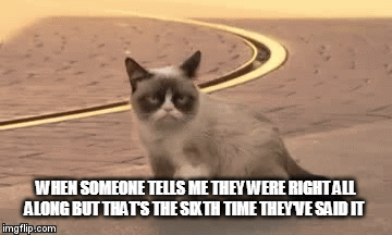 grumpy cat gets it ok?! - Imgflip
