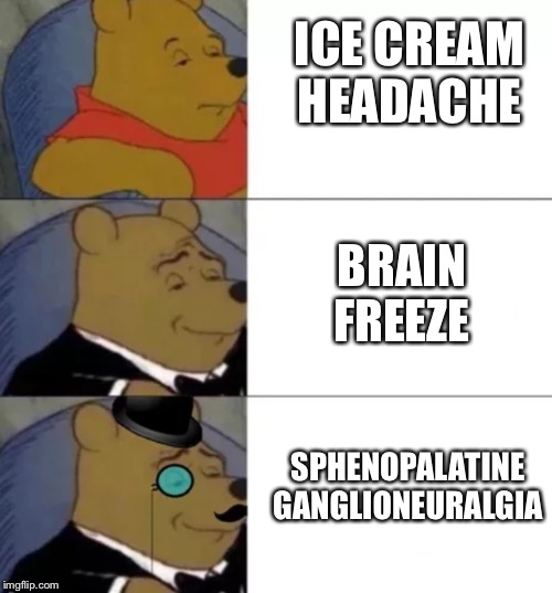 Don’t eat it too fast! | ICE CREAM HEADACHE; BRAIN FREEZE; SPHENOPALATINE GANGLIONEURALGIA | image tagged in fancy pooh,ice cream,brain freeze,headache | made w/ Imgflip meme maker