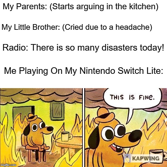 This Is Fine | My Parents: (Starts arguing in the kitchen); My Little Brother: (Cried due to a headache); Radio: There is so many disasters today! Me Playing On My Nintendo Switch Lite: | image tagged in this is fine | made w/ Imgflip meme maker