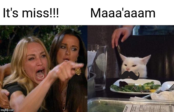Woman Yelling At Cat Meme | It's miss!!! Maaa'aaam | image tagged in memes,woman yelling at cat | made w/ Imgflip meme maker