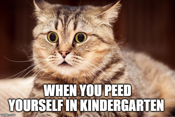 spooked kitty boi | WHEN YOU PEED YOURSELF IN KINDERGARTEN | image tagged in spooked kitty boi | made w/ Imgflip meme maker