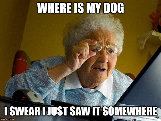 Grandma Finds The Internet | WHERE IS MY DOG; I SWEAR I JUST SAW IT SOMEWHERE | image tagged in memes,grandma finds the internet | made w/ Imgflip meme maker