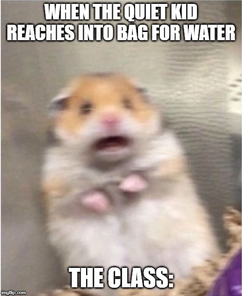 scared hammy | WHEN THE QUIET KID REACHES INTO BAG FOR WATER; THE CLASS: | image tagged in scared hammy | made w/ Imgflip meme maker