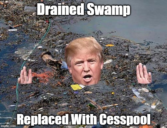 "President Trump Succeeds In Draining Swamp" | Drained Swamp Replaced With Cesspool | image tagged in drain swamp,very high frequency of convicted felons in trumps inner circle,criminal in the white house,traitor in the white hous | made w/ Imgflip meme maker