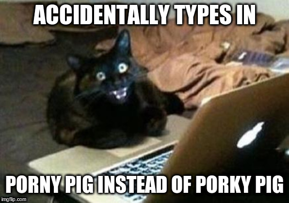 ACCIDENTALLY TYPES IN; PORNY PIG INSTEAD OF PORKY PIG | image tagged in cats,looney tunes | made w/ Imgflip meme maker