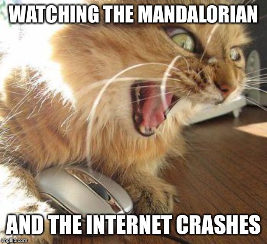 Angry Cat Wants to Watch The Mandalorian | WATCHING THE MANDALORIAN; AND THE INTERNET CRASHES | image tagged in angry cat,mandalorian,internet,cats,memes,crash | made w/ Imgflip meme maker
