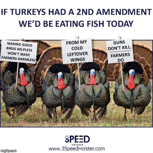 Happy Thanksgiving! | image tagged in gun control,gun rights,2nd amendment,second amendment,holster,gun laws | made w/ Imgflip meme maker