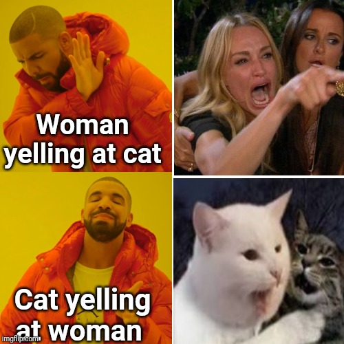 Cat yelling at woman | Woman yelling at cat; Cat yelling at woman | image tagged in cat yelling at woman,woman yelling at cat,drake hotline bling,memes | made w/ Imgflip meme maker