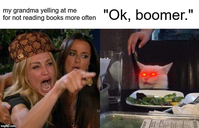 Woman Yelling At Cat | my grandma yelling at me for not reading books more often; "Ok, boomer." | image tagged in memes,woman yelling at cat | made w/ Imgflip meme maker