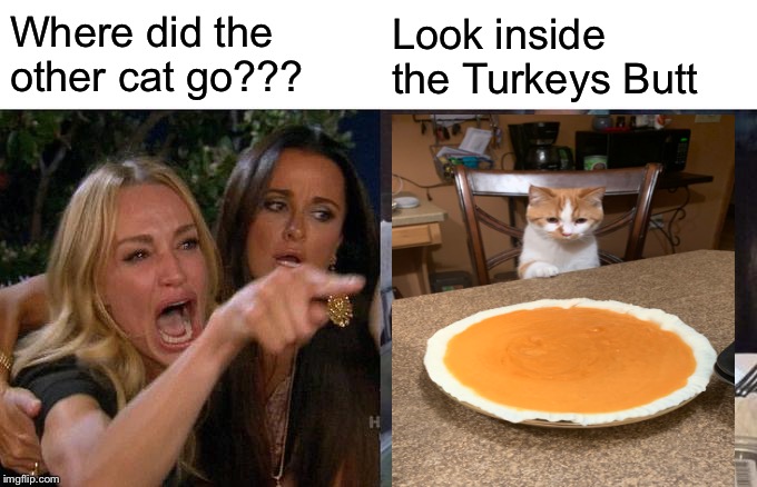 Woman Yelling At Cat Meme | Where did the other cat go??? Look inside the Turkeys Butt | image tagged in memes,woman yelling at cat | made w/ Imgflip meme maker
