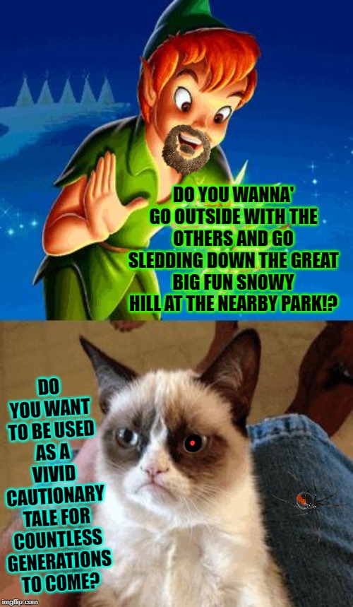 Grumpy Cat Does Not Believe Meme | DO YOU WANNA' GO OUTSIDE WITH THE OTHERS AND GO SLEDDING DOWN THE GREAT BIG FUN SNOWY HILL AT THE NEARBY PARK!? DO YOU WANT TO BE USED AS A VIVID CAUTIONARY TALE FOR COUNTLESS GENERATIONS TO COME? | image tagged in memes,grumpy cat does not believe,grumpy cat | made w/ Imgflip meme maker