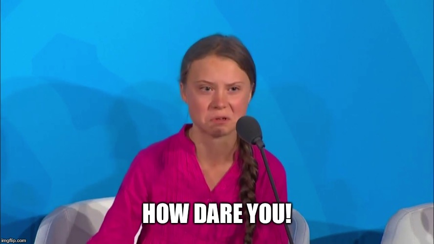 HOW DARE YOU! | image tagged in how dare you - greta thunberg | made w/ Imgflip meme maker