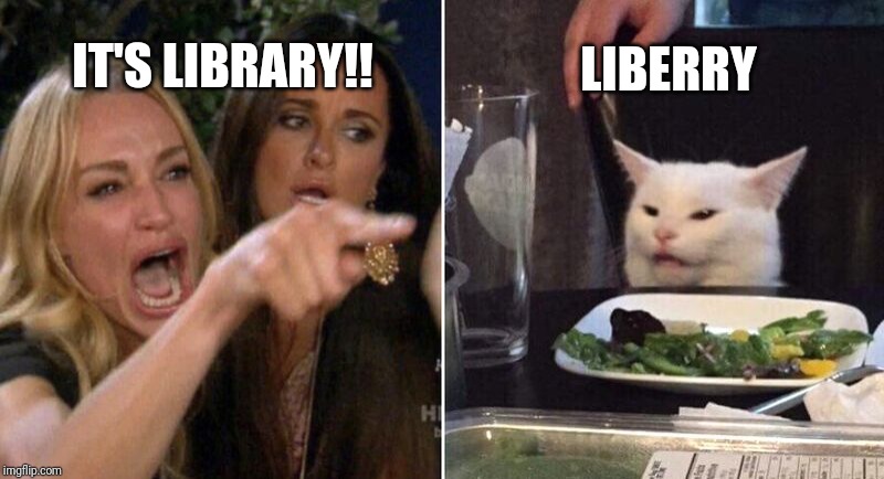 Woman Pointing at Cat | LIBERRY; IT'S LIBRARY!! | image tagged in woman pointing at cat | made w/ Imgflip meme maker