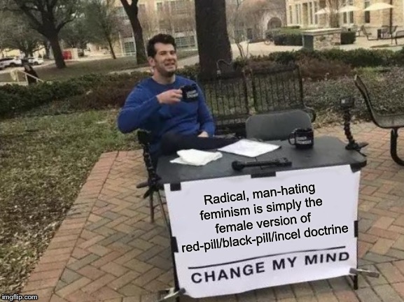 In this stream I’m harshest on the incels, but radical feminists need to be called out, too. | image tagged in politics,political meme,feminism,red pill,indoctrination,radical | made w/ Imgflip meme maker