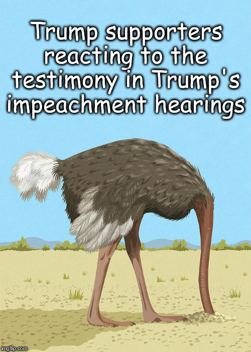 Trump supporters reacting to the testimony in Trump's impeachment hearings | Trump supporters reacting to the testimony in Trump's impeachment hearings | image tagged in ostrich with its head buried in the sand,trump,impeachment,ostrich,supporters,politics | made w/ Imgflip meme maker