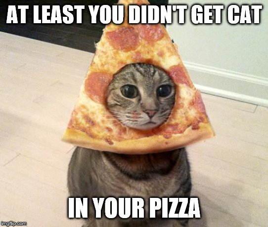 pizza cat | AT LEAST YOU DIDN'T GET CAT IN YOUR PIZZA | image tagged in pizza cat | made w/ Imgflip meme maker