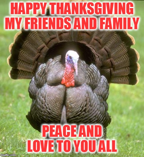 Turkey | HAPPY THANKSGIVING MY FRIENDS AND FAMILY; PEACE AND LOVE TO YOU ALL | image tagged in memes,turkey | made w/ Imgflip meme maker