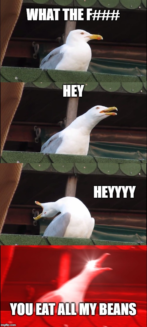 Inhaling Seagull Meme | WHAT THE F###; HEY; HEYYYY; YOU EAT ALL MY BEANS | image tagged in memes,inhaling seagull | made w/ Imgflip meme maker