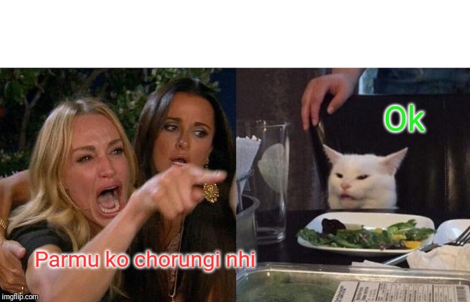 Woman Yelling At Cat Meme | Parmu ko chorungi nhi Ok | image tagged in memes,woman yelling at cat | made w/ Imgflip meme maker