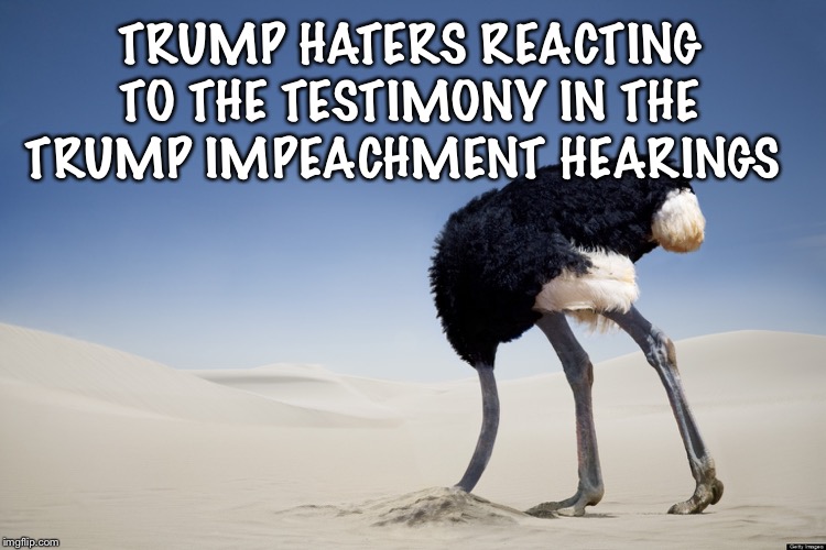 Ostrich head in sand | TRUMP HATERS REACTING TO THE TESTIMONY IN THE TRUMP IMPEACHMENT HEARINGS | image tagged in ostrich head in sand | made w/ Imgflip meme maker