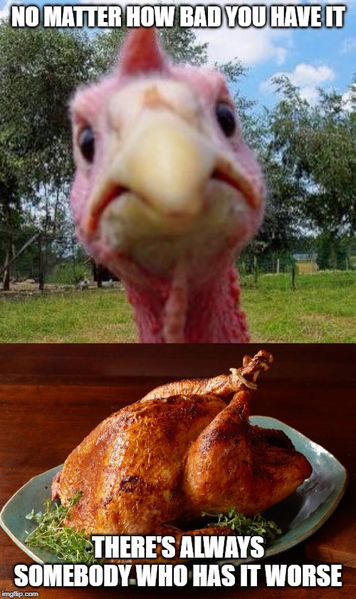 Happy Thanksgiving! Be grateful | NO MATTER HOW BAD YOU HAVE IT; THERE'S ALWAYS SOMEBODY WHO HAS IT WORSE | image tagged in turkey,memes,bad,worse,thanksgiving | made w/ Imgflip meme maker