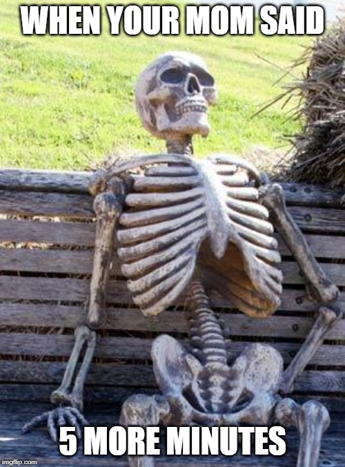 Waiting Skeleton | WHEN YOUR MOM SAID; 5 MORE MINUTES | image tagged in memes,waiting skeleton | made w/ Imgflip meme maker